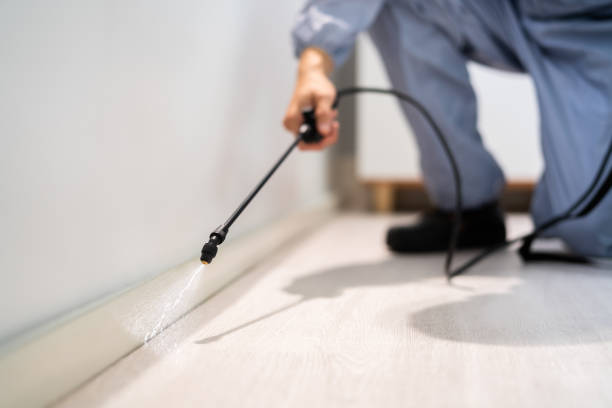 Licensed Termite Control service in Falling Waters, WV - Nex Pest Control
