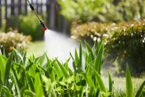 24/7 Emergency Termite Control experts in Falling Waters, WV