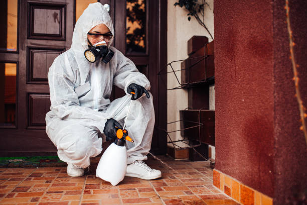 Reliable Termite Control contractor in Falling Waters, WV by Nex Pest Control